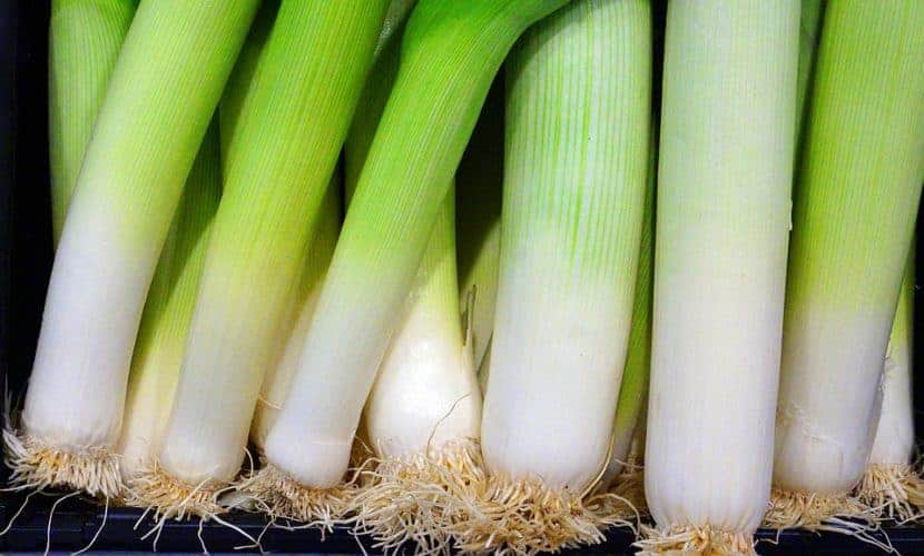 How to Grow Leeks in Pots Bountiful Gardener