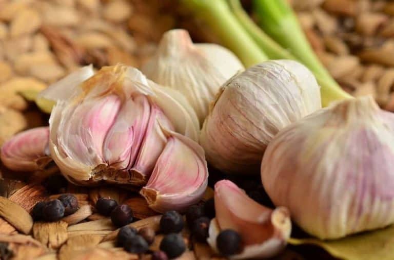 Can I Plant Garlic from the Grocery Store? The Bountiful Gardener