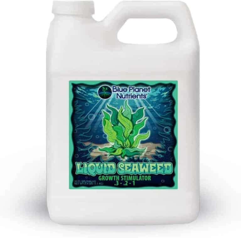 8 Best Fertilizers for Zucchini in 2023 Bountiful Gardener