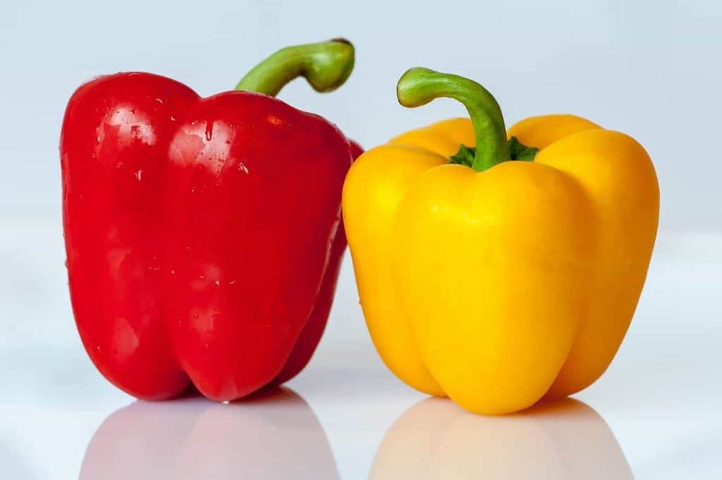 14+ Best Peppers to Grow for Salsa in 2023 (5 Levels of Heat