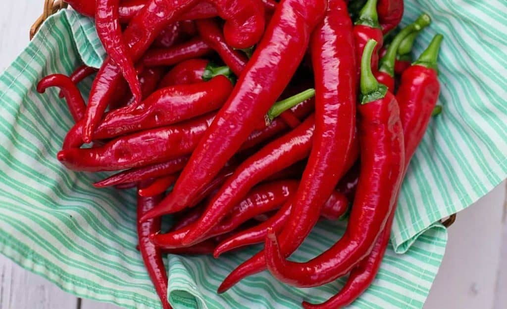 How to Grow Hot Portugal Peppers (and Where to Get Seeds) The