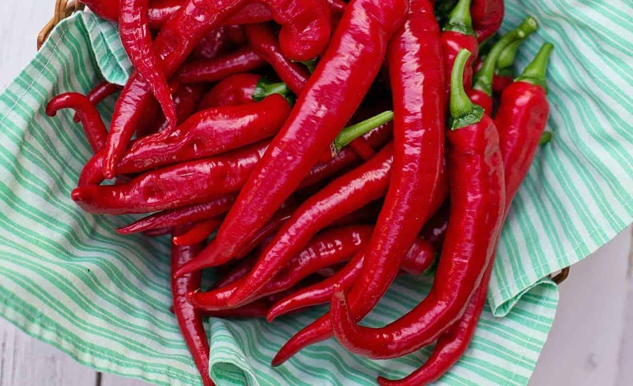 How to Grow Hot Portugal Peppers (and Where to Get Seeds) The