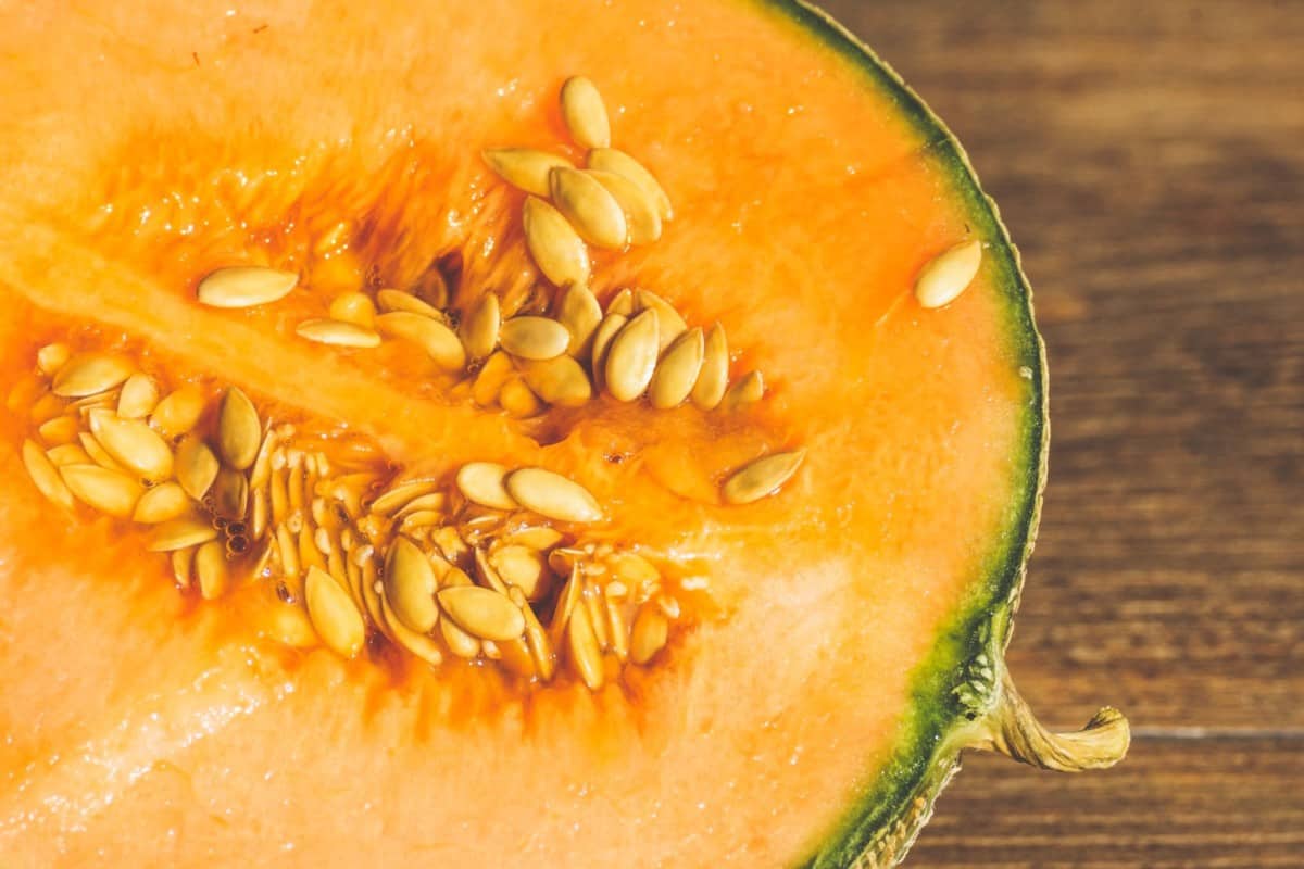 7 Sweetest Cantaloupe Varieties to Grow (& How to Get Seeds