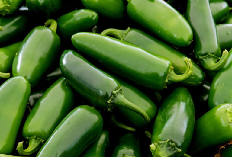 7 Biggest Jalapeno Varieties to Grow (& How to Get Seeds) Bountiful